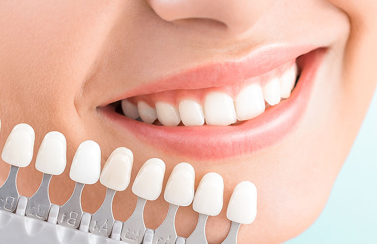 ダミーテキスト